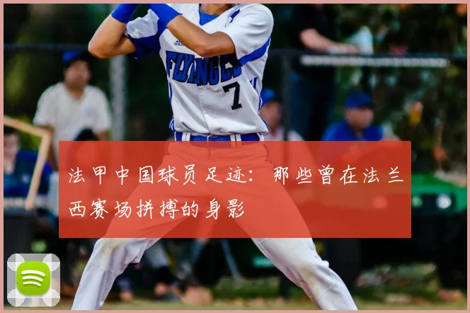 法甲中国球员足迹：那些曾在法兰西赛场拼搏的身影