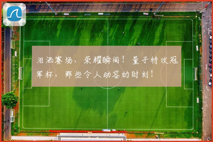 泪洒赛场，荣耀瞬间！量子特攻冠军杯，那些令人动容的时刻！