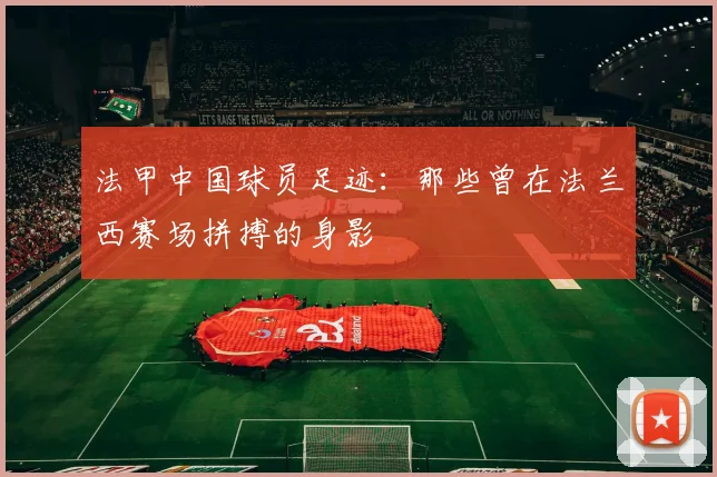 法甲中国球员足迹：那些曾在法兰西赛场拼搏的身影