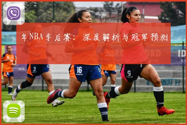 年NBA季后赛：深度解析与冠军预测