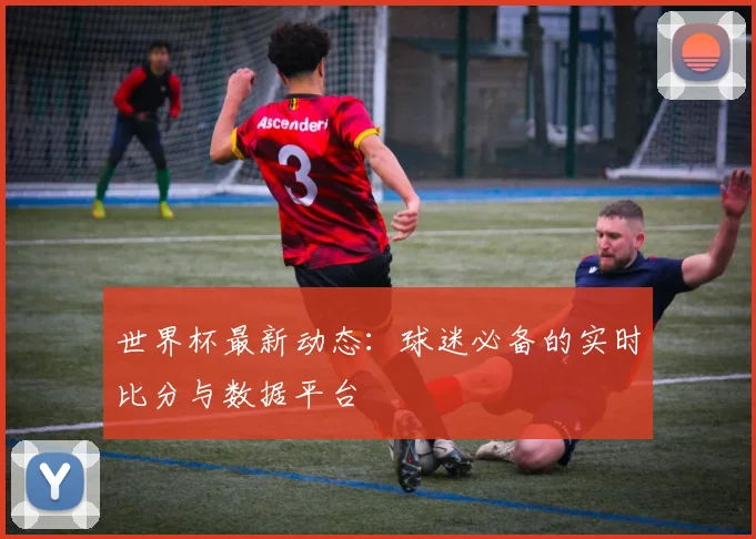 世界杯最新动态：球迷必备的实时比分与数据平台